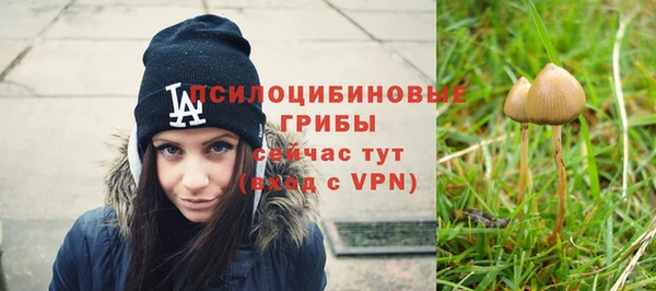 герыч Пересвет